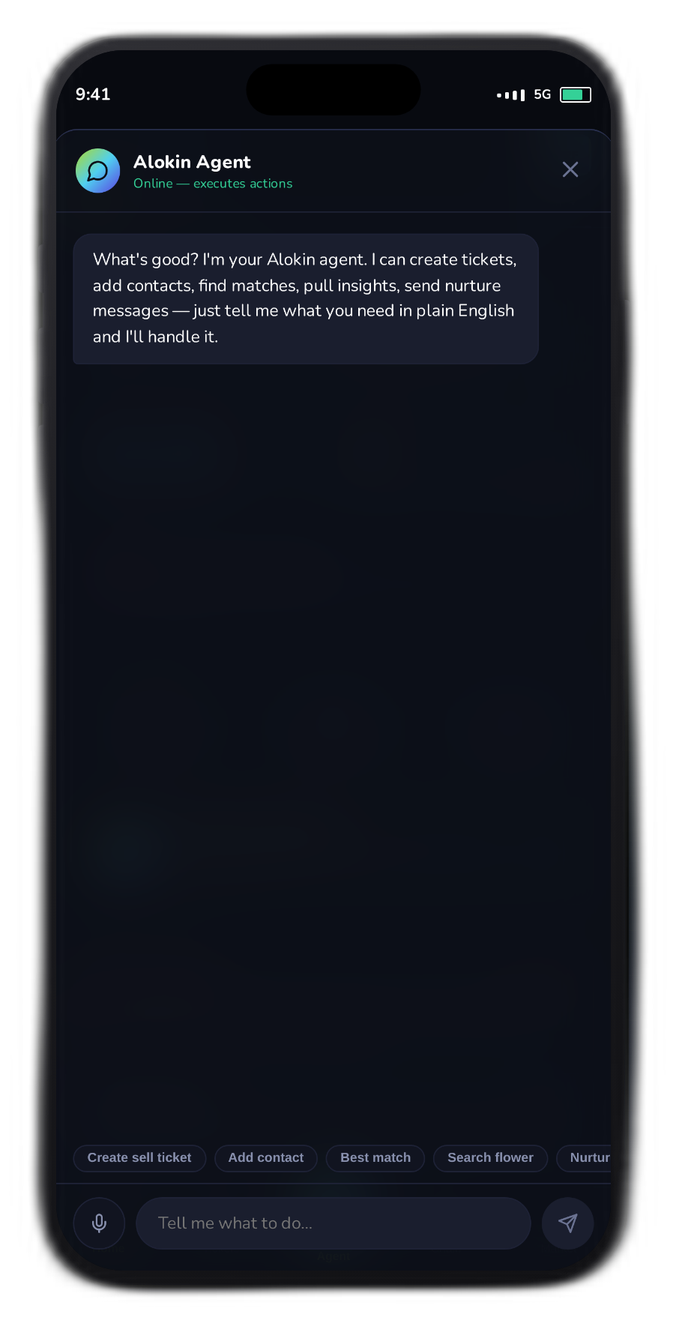 Alokin Agent — open conversation