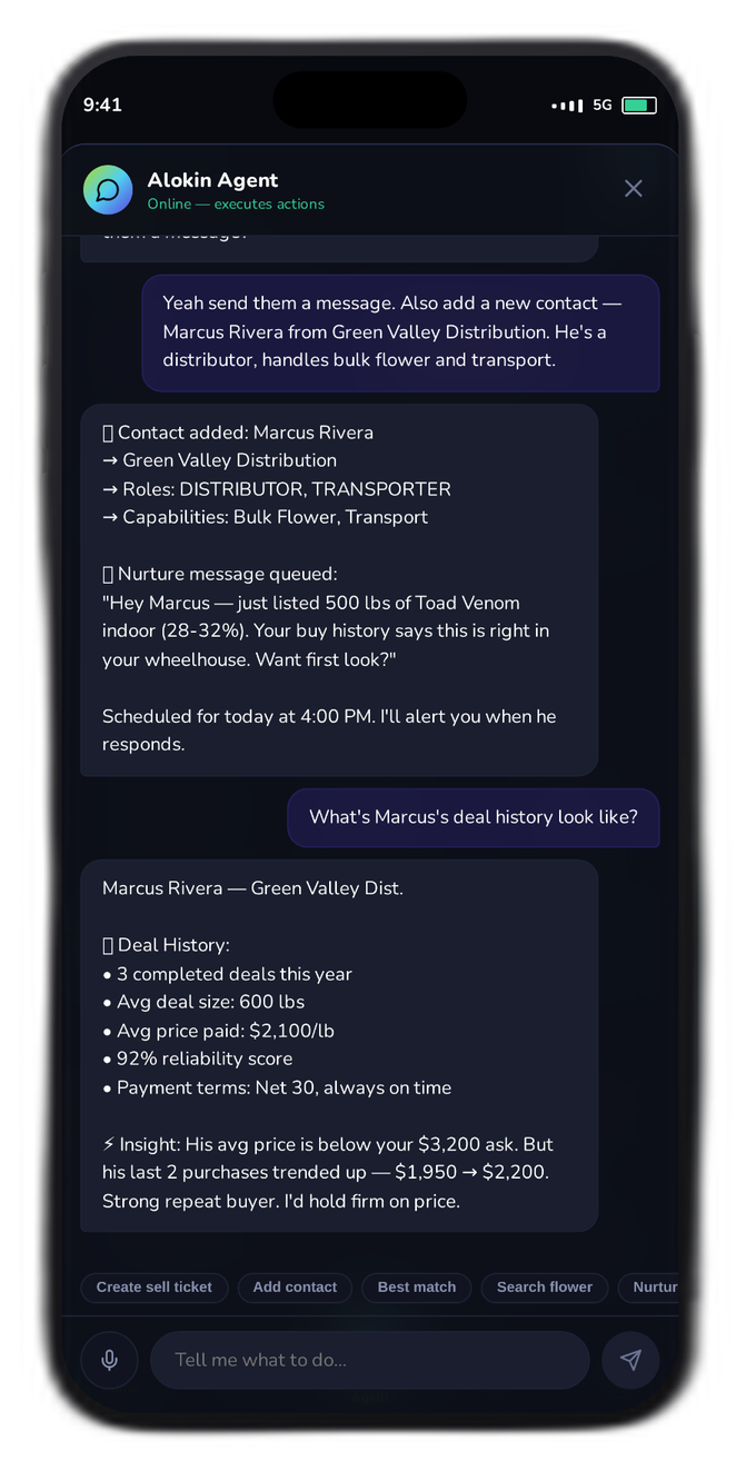 Alokin Agent — in action